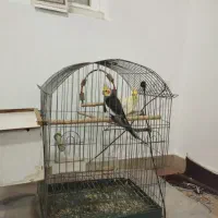 ۳میلیون