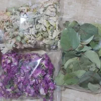 گل ختمی وگل محمدی