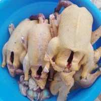 محصولات خانگی ۲۵۰تومن