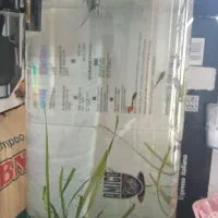 آکواریوم با ماهی|ماهی|شیراز, ریاستی|دیوار