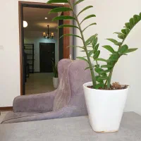 استخدام منشی