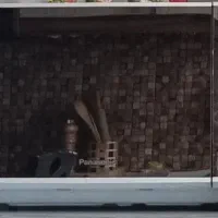 ماکروویو پاناسونیک