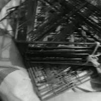 چند دسته کتابخانه نردی