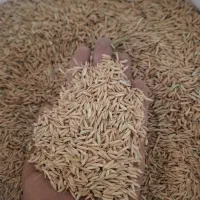 چلتیک خشک کیلویی ۱۸۰
