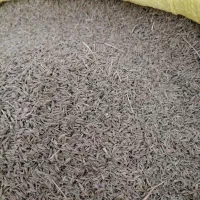 زیره سبز|عمده‌فروشی|خواف, |دیوار