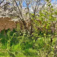 فروش-زمین-270-متری-در-روستای-تویه-دروار-دامغان