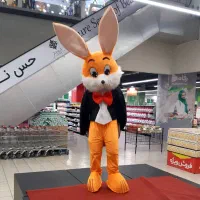 برگزاری مراسم ، سیستم صوتی ، بادکنک آرایی|خدمات پذیرایی، مراسم|ایلام, |دیوار