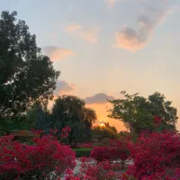 اجاره شبانه دوخواب صدف