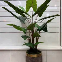 درختچه مصنوعی|گل مصنوعی|صفادشت, |دیوار