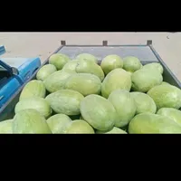 کرایه نیسان به قرچک ورامین|فعالیت داوطلبانه|گنبد کاووس, |دیوار