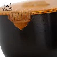 سه تار بختیاری