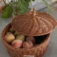 سبدای دست بافت بسیار زیبا|صنایع دستی و سایر لوازم تزئینی|نیشابور, مازول|دیوار