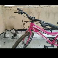 دو عدد دوچرخه