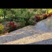 باغ ۱۳۵۰ متر/ به همراه سازه / سندتکبرگ|فروش خانه و ویلا|دورود, |دیوار