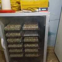 دستکاه جوجه کشی 1008عددی