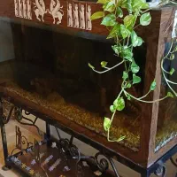 آکواریوم بزرگ