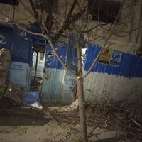 حرص کاری درخت|خدمات باغبانی و درختکاری|تهران, بهداشت|دیوار