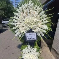 همه مشتری حرگون گلی یا تاج گل سبد درختمت هستیم|خدمات پذیرایی، مراسم|اسلامشهر, شهرک سعیدیه|دیوار