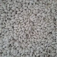 فروش لوبیا سفید ..قرمز|عمدهفروشی|لاران, |دیوار