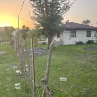 ۵۰۰متر زمین مسکونی همراه با بنای قابل سکونت .|فروش زمین و ملک کلنگی|شاندرمن, |دیوار