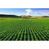 فروش زمین ویو دریاچه