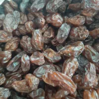 کشمش فخری درشت