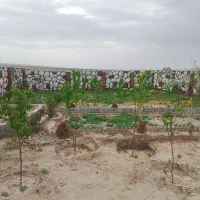 خرید و فروش باغ