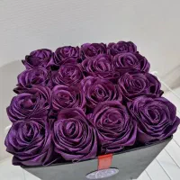 گل ربانی برای ولن و تولد