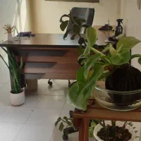 اجاره دفتر کار اداری 70متری چهارراه هشت بهشت|اجارهٔ دفتر کار، اتاق اداری، مطب|اصفهان, شاهزید|دیوار