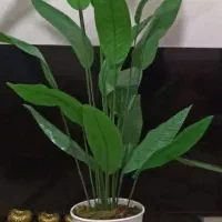 درخچه مصنوعی