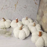 کوسن|صنایع دستی و سایر لوازم تزئینی|شیراز, ریشمک|دیوار