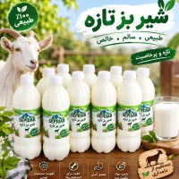 شیر بز تازه روز . دامداری سپیدار . ارسال ۴۰ تومان