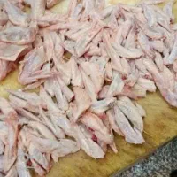 غذای سگ|لوازم جانبی حیوانات|قم, آزادگان|دیوار