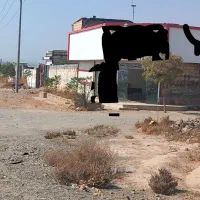 دودربندمغازه-دونبش-معاوضه