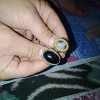 انگشتر شجر خورموج