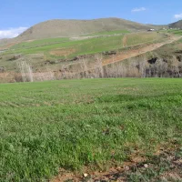 رنگه رژان|فروش دفتر صنعتی، کشاورزی، تجاری|سرشیو, |دیوار