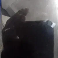 گوشی شیاومی۱۲ایکس