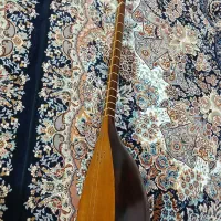 تنبور کاسه ای