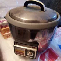 آبمیوهگیری اصل ژاین|آبمیوهگیر و آبمرکباتگیر|ملایر, |دیوار