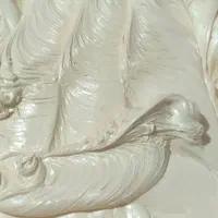 پخش کرم طلا|عمدهفروشی|پیرانشهر, |دیوار