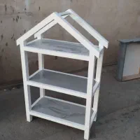 ویترین و رگال