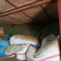 حدود ۲۰خلوارکاه سفید دیم وگل یونجه وشبدرفروشی|لوازم جانبی حیوانات|بروجرد, |دیوار