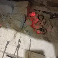 زغال انجیر و زغال انگور درجه یک