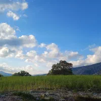 حریدارواحد