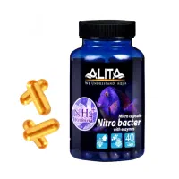 لوازم و گیاه آکواریوم|ماهی|تبریز, |دیوار