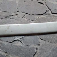 بال عقب کوییک،تیبا2