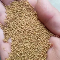 تخم یونجه درجه یک|خدمات باغبانی و درختکاری|تهران, کوثر|دیوار