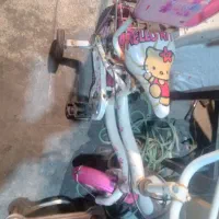 دوچرخه ۱۲بچه گانه