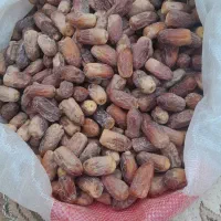 خرمای ارگانیک