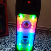 اسپیکر ‌‌SinG
